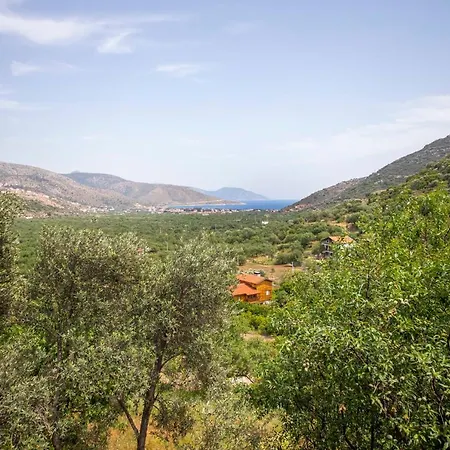 Lovely House Surrounded By Nature In Datca Apartment